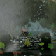 Imagen para el artículo titulado Los increíbles gráficos de nueva generación que verás en Project Cars